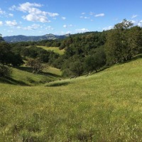 photo landscape of meadow and hills and blue sky
