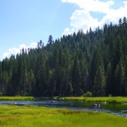 photo, landscape green meadow, river, backdrop of tall forest and blue sky