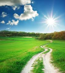 photo of green meadow and path leading into bright sunlight